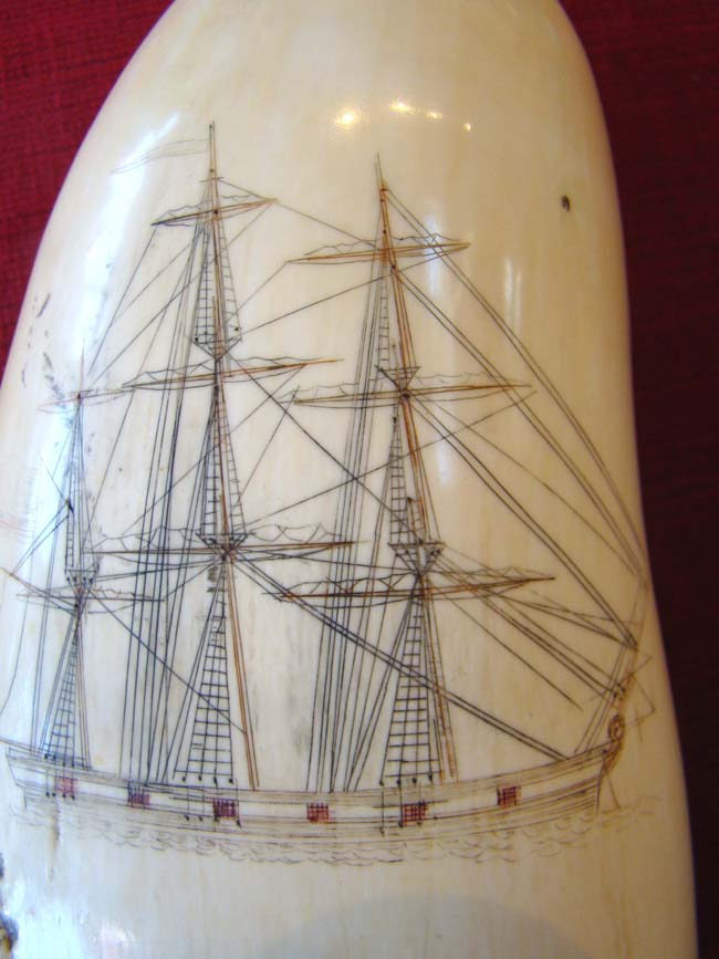 A fine polycrome Scrimshaw whale's tooth depicting a three-masted warship circa 1850 — image 3